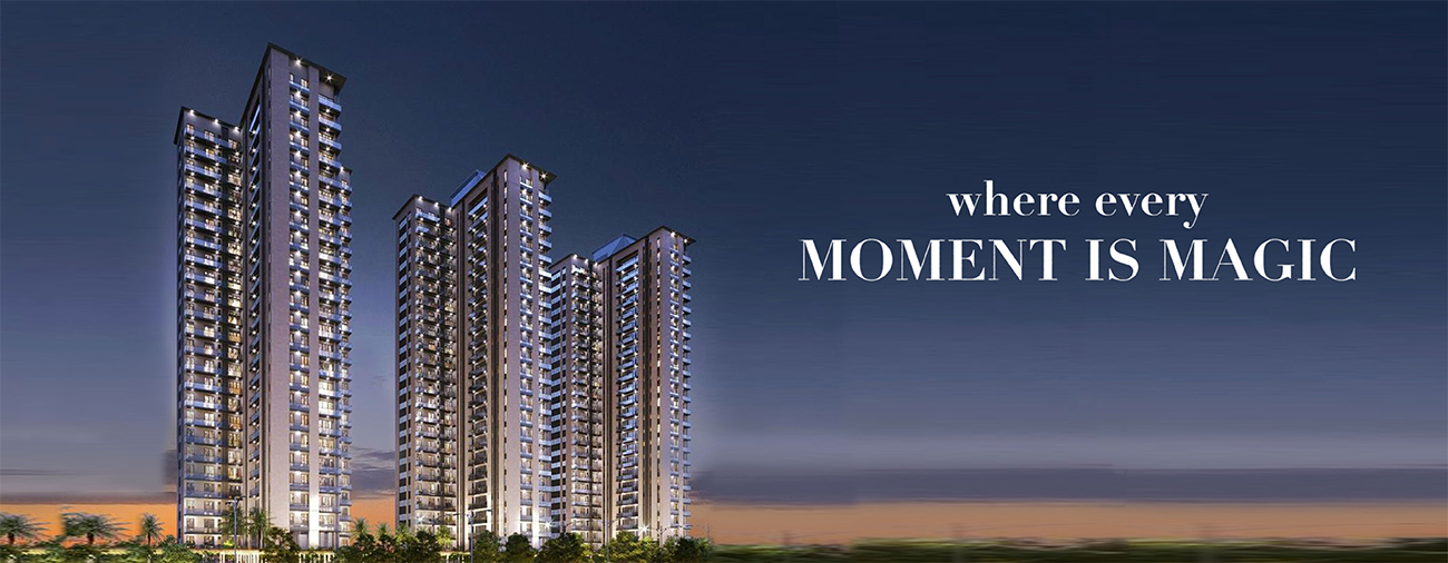 Shalimar Whispering-Woods